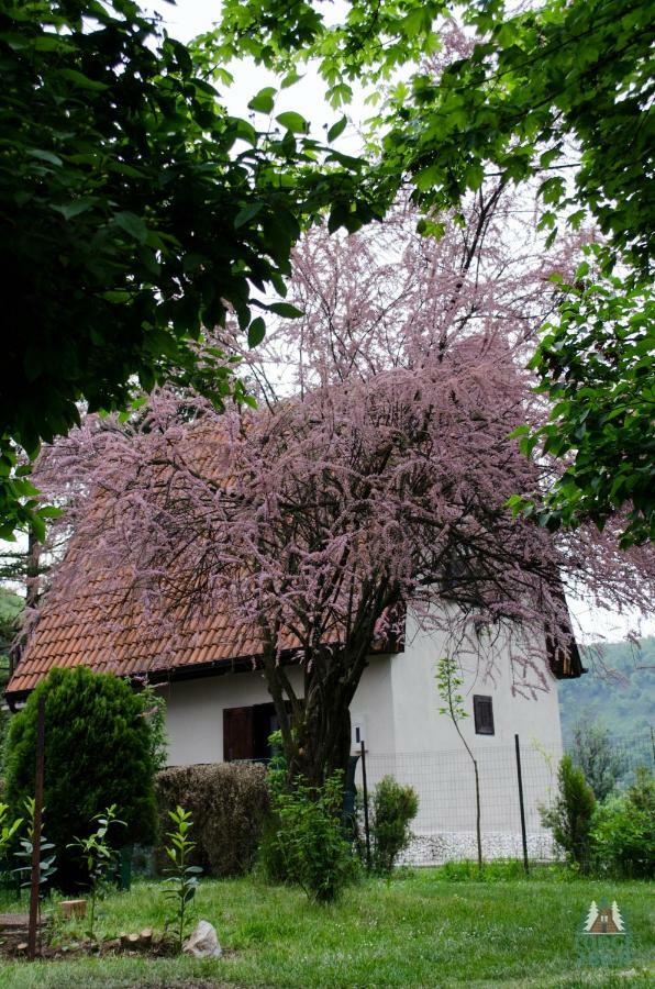 Lodge Zbilje Visoko, Bosnian Pyramids ภายนอก รูปภาพ