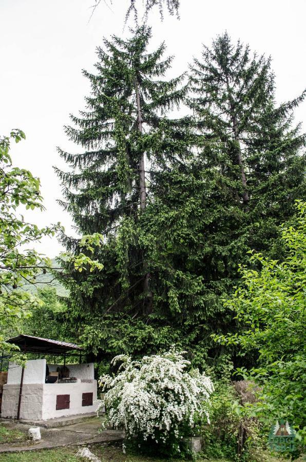 Lodge Zbilje Visoko, Bosnian Pyramids ภายนอก รูปภาพ